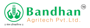 Bandhan_Logo_Web2-removebg-preview