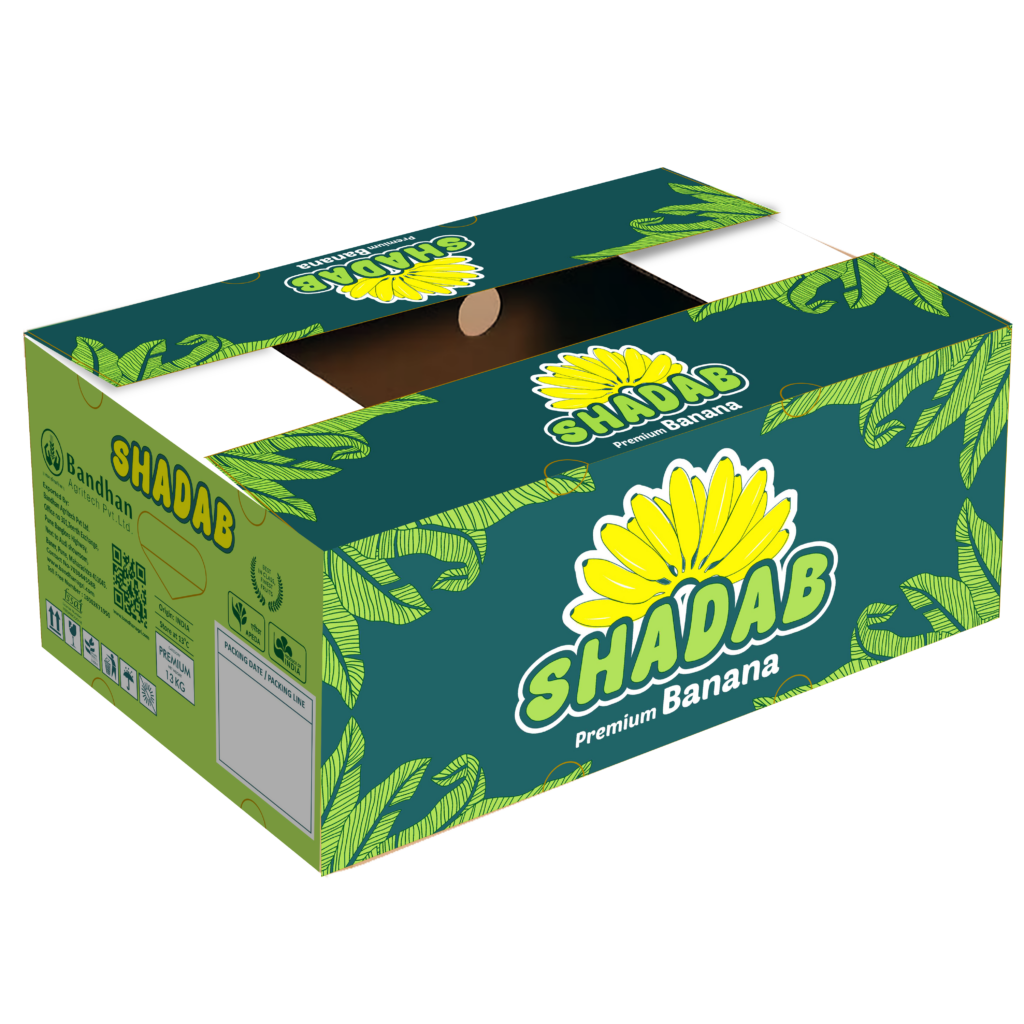 Shadab Banana