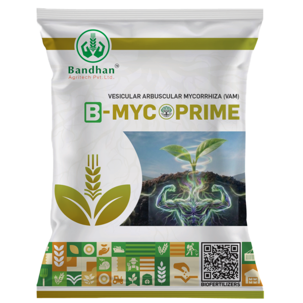 B MYCO PRIME