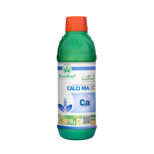 BANFERT CALCI MAX