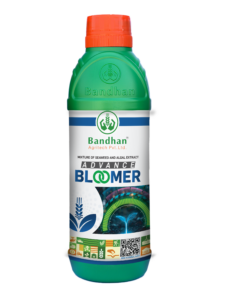 ADVANCE BLOOMER