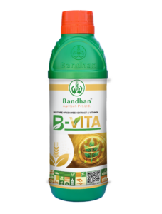 B - VITA
