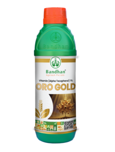ORO GOLD